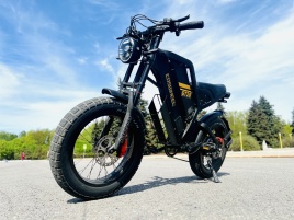 Электровелосипед Coswheel GT20 max