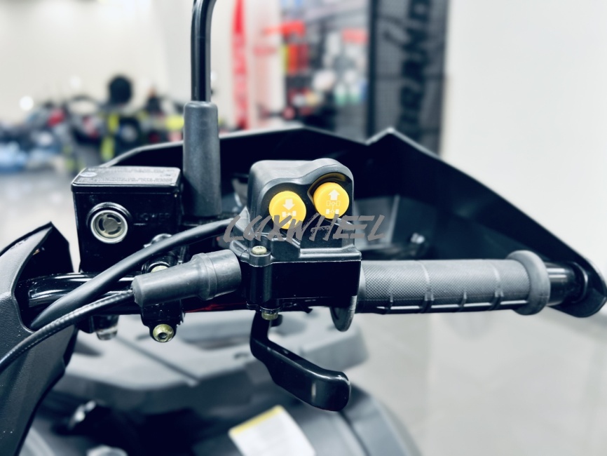 Квадроцикл TGB blade 1000 LTX EPS Premium фото 12