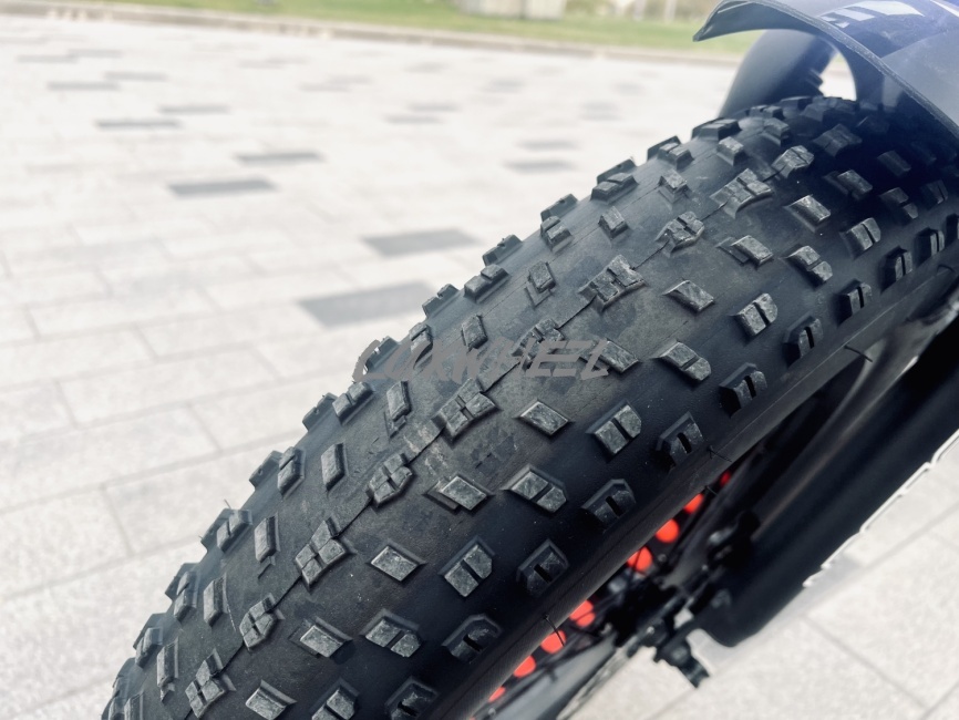 Электровелосипед Jetson V20 BAGIRA X фото 15