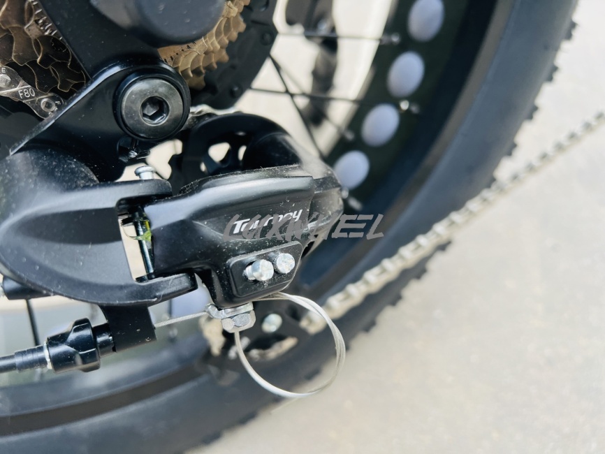 Электровелосипед Minako Bizon фото 15