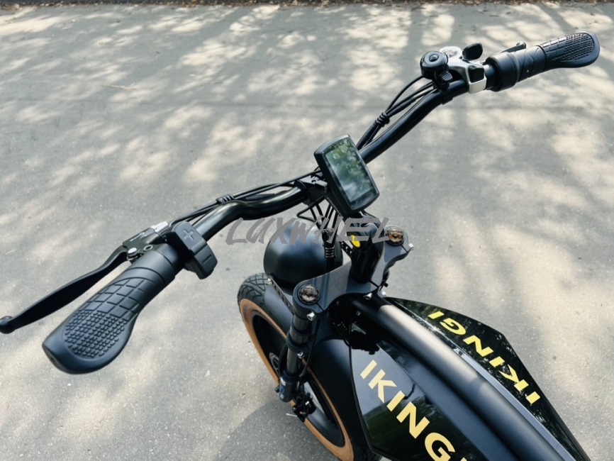 Электровелосипед Ikingi EBA 218 фото 9