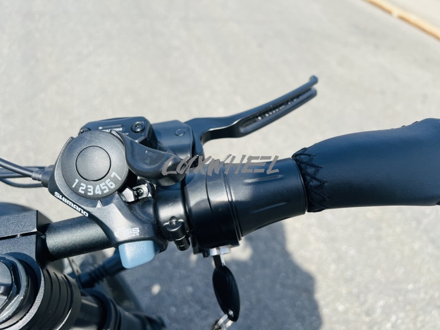 Электровелосипед Coswheel GT20 max фото 8