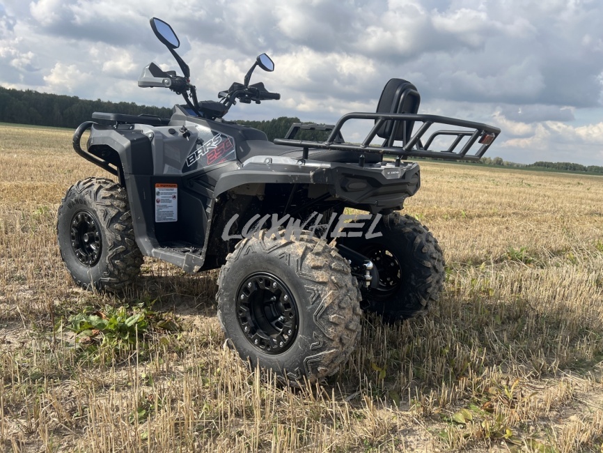 Квадроцикл White Siberia Bars 250 фото 3