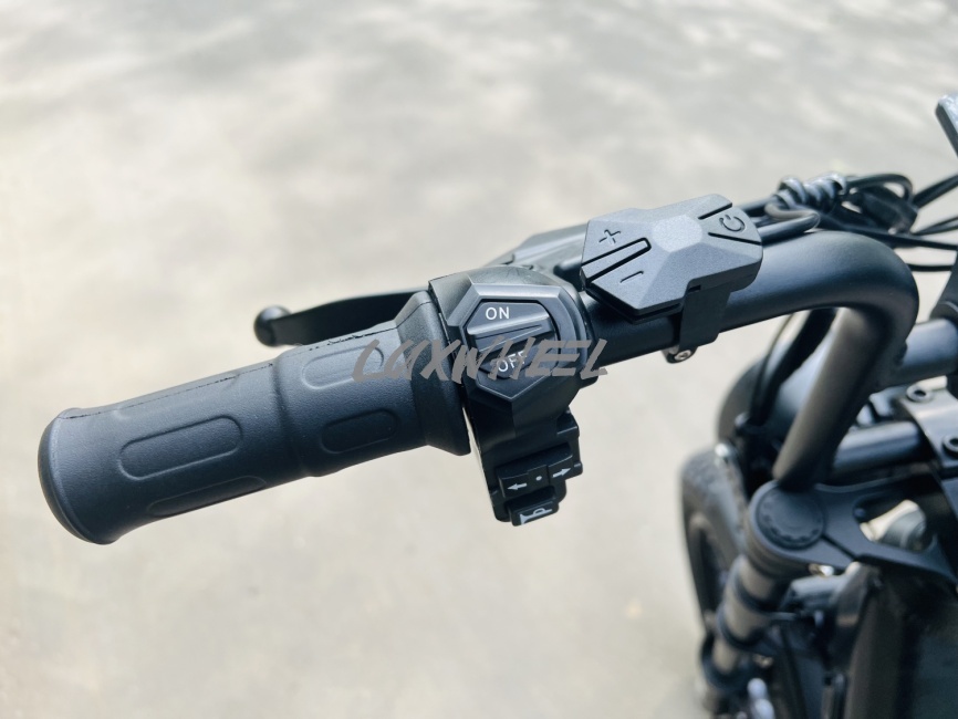 Электровелосипед Minako Bizon фото 5