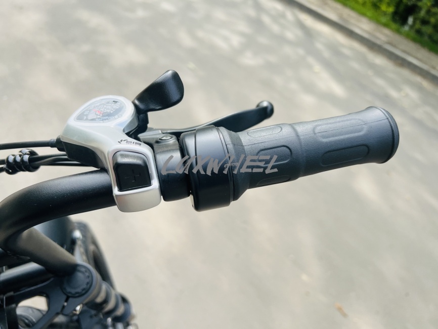 Электровелосипед Minako Bizon фото 7