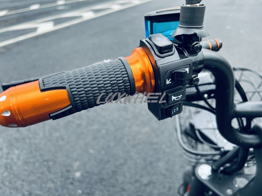 Электровелосипед колхозник Wenbo Monster New фото 9