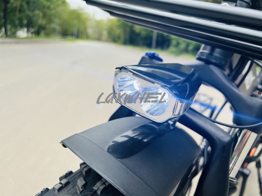 Электровелосипед Minako F10 фото 10