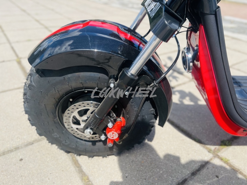 Электроскутер White Siberia 2WD фото 5