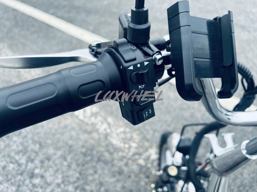 Электровелосипед колхозник Wenbo 60V/21Ah фото 5