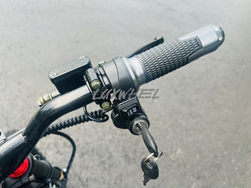 Электропитбайк Ikingi Wish 01 фото 9